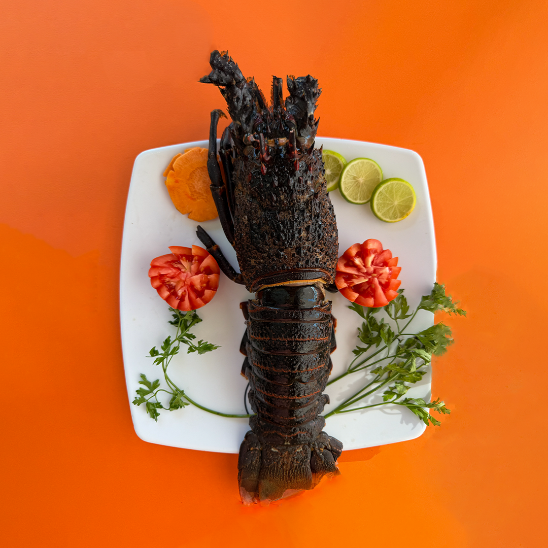 Premium Royal Lobster