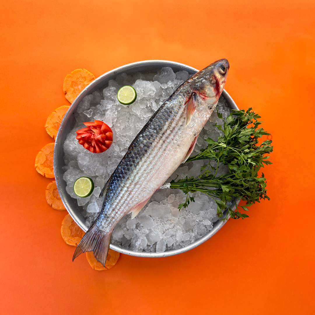 Royal Mediterranean Grey Mullet (Jumbo)