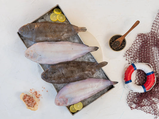 Fresh Local Sole Fish
