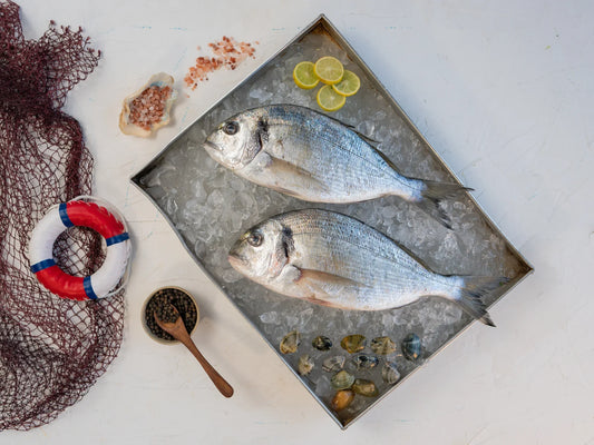 Prime Mediterranean Sea Bream (Denise)