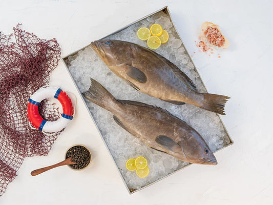 Majestic Wakar Grouper (Royal Class)