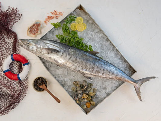 Premium Drak Kingfish Steaks