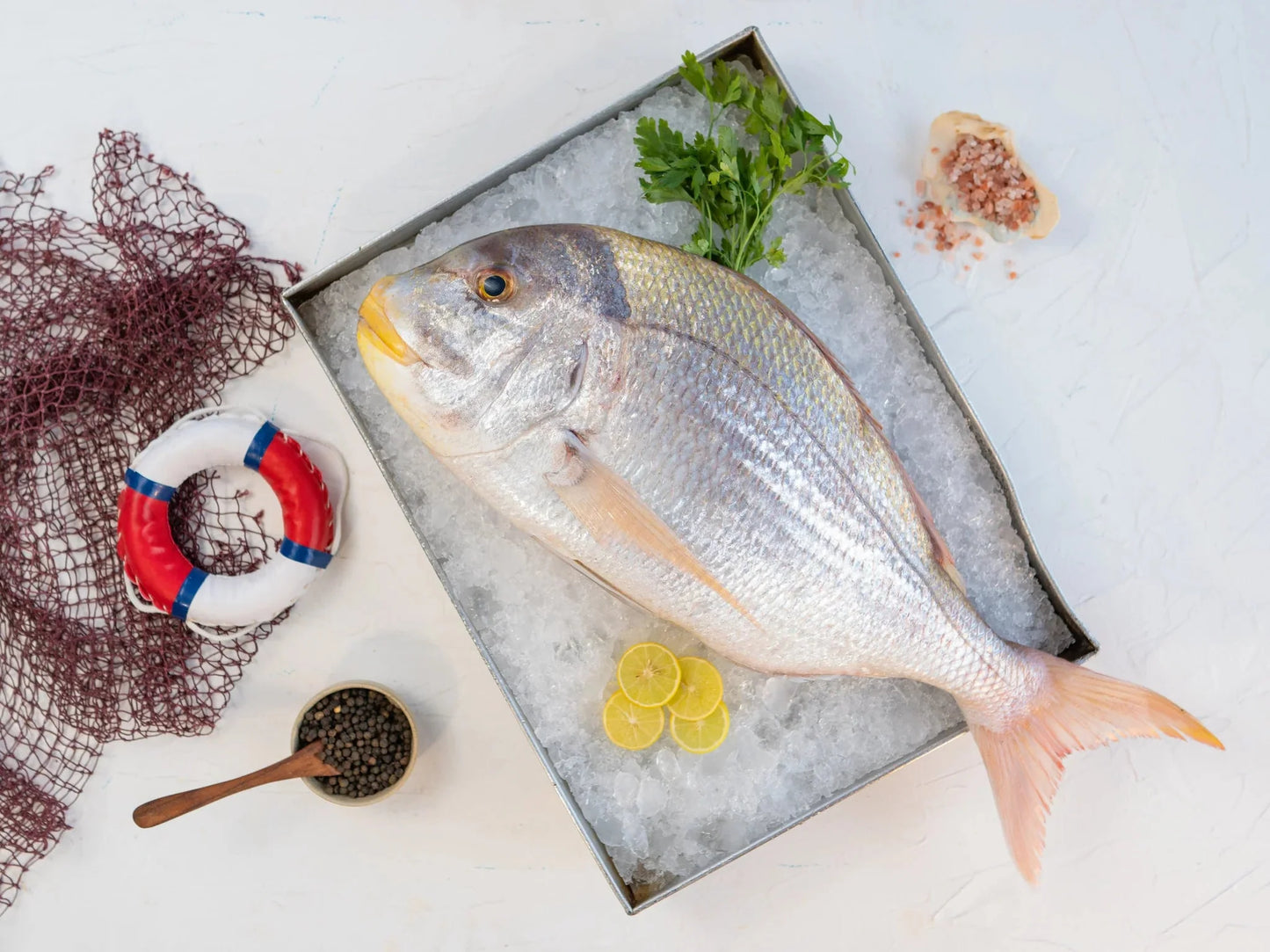 Wild-Caught Bluefish (Meyas)