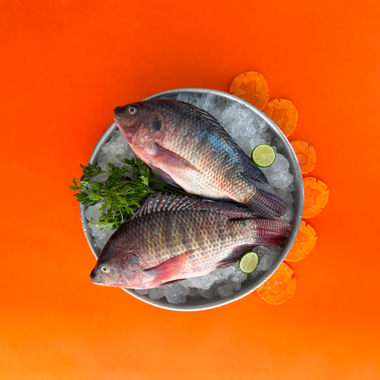 Premium Fresh Nile Tilapia
