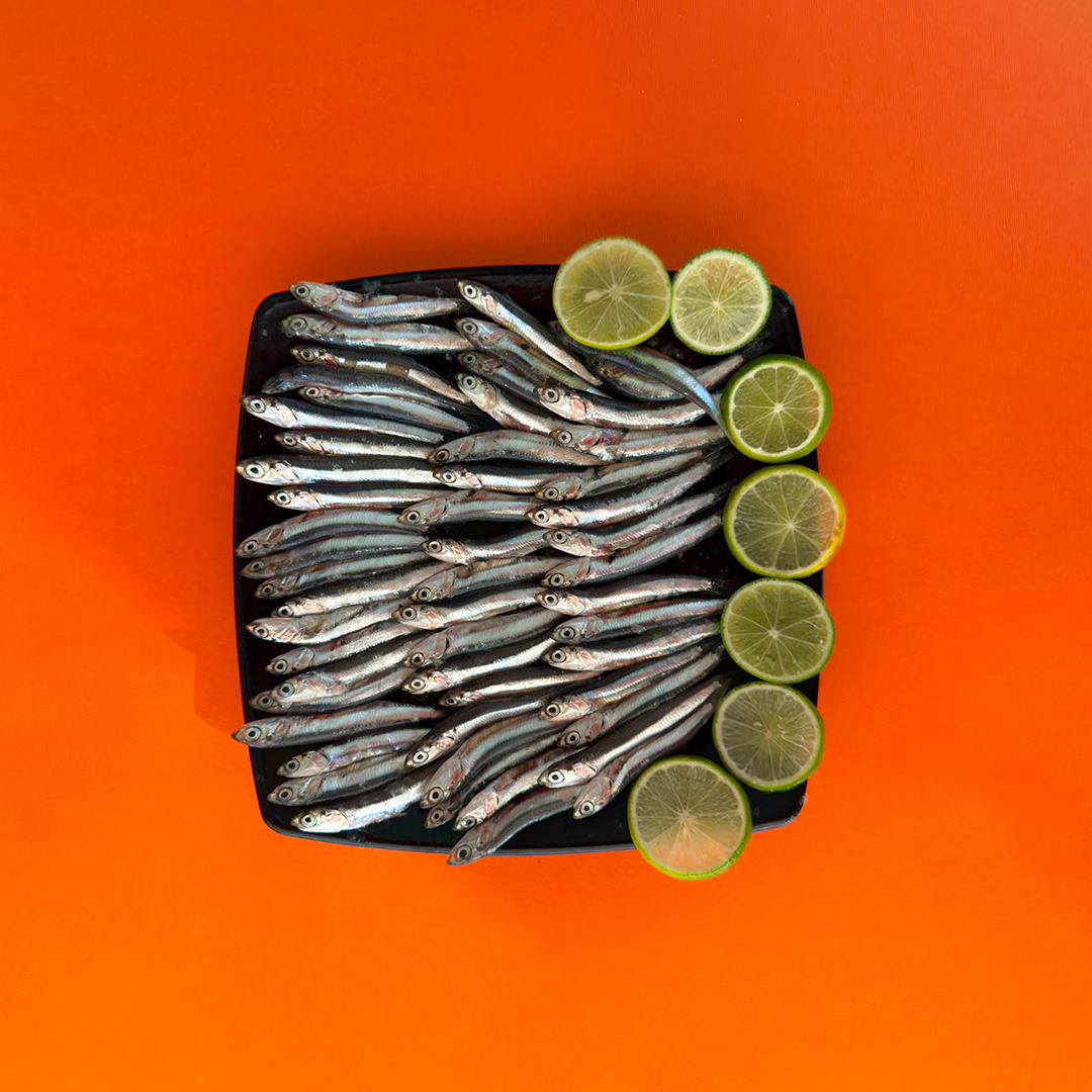 Wild Fresh Mediterranean Anchovies