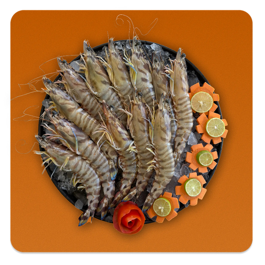 Royal Local Gazzaz Shrimp (Super Jumbo Size)