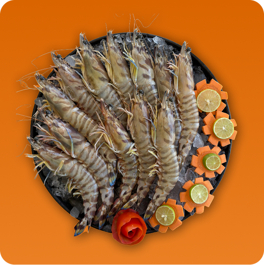 Royal Local Gazzaz Shrimp (Super Jumbo Size)