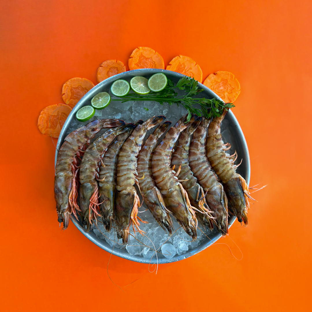 Royal Jumbo Tiger Prawns
